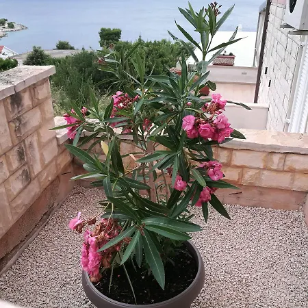 Apartment Sibenik Primosten