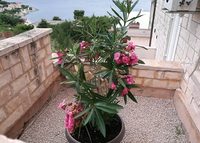 Apartment Sibenik Primosten