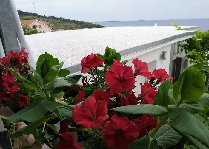 Sibenik Apartman *